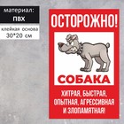 Табличка «Осторожно собака» хитрая 200×300, клейкая основа, цвет красно-белый - фото 319722680