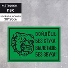 Табличка «Войдёшь-вылетишь» собака 300×200, клейкая основа, цвет чёрно-зелёный - фото 9764444