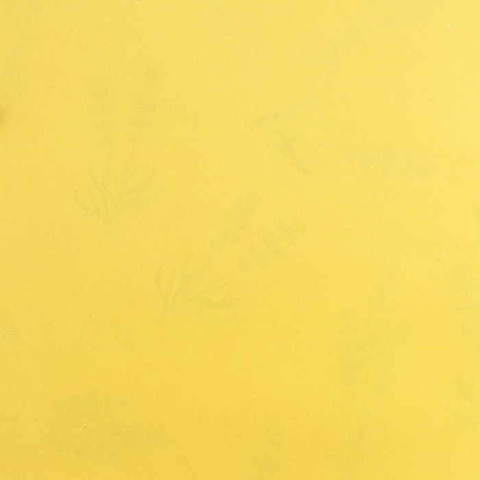 Бумага упаковочная глянцевая двухсторонняя «Лаванда», 70 х 100 см - фото 1927814578