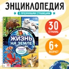 Энциклопедия с прозрачными страницами «Жизнь на земле. Животные и где они обитают», 30 стр. - Фото 1
