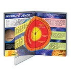 Энциклопедия с прозрачными страницами «Жизнь на земле. Животные и где они обитают», 30 стр. - Фото 4