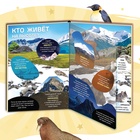 Энциклопедия с прозрачными страницами «Жизнь на земле. Животные и где они обитают», 30 стр. - Фото 5