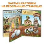 Книга с прозрачными страницами «Эра динозавров», 30 стр. - фото 6520762