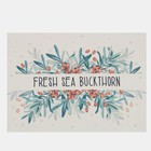 Салфетка на стол Доляна "Fresh sea buckthorn" ПВХ 40*29см - Фото 2