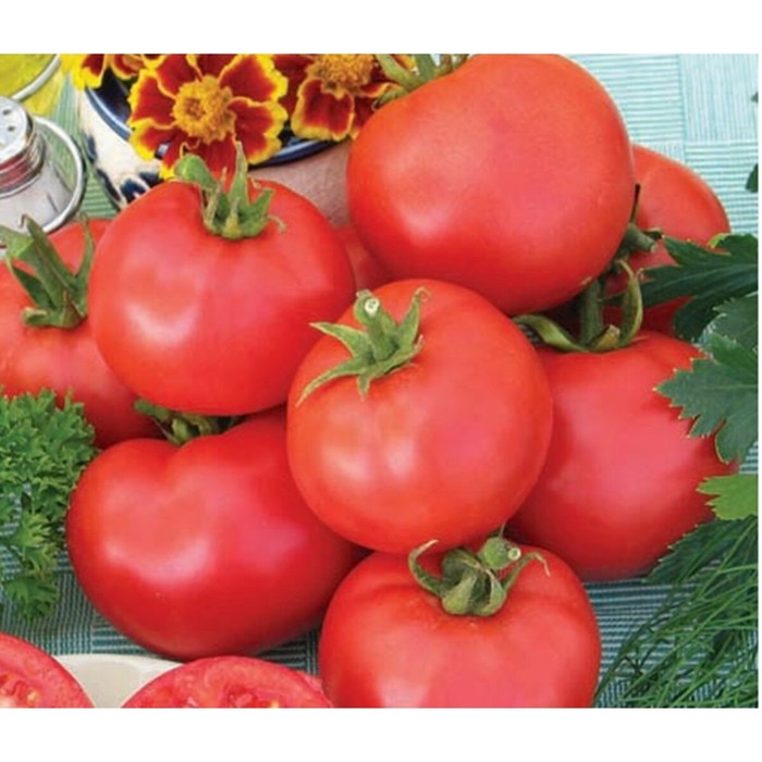 Помидор дар заволжья фото Помидор дар заволжья фото