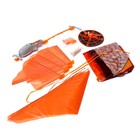 Летающая рыба «Клоун», на радиоуправлении (гелий не входит в комплект) - Фото 2