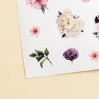Наклейки бумажные «Цветы», 11 × 16 см - Фото 2