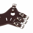 Намордник из прессованной кожи регулируемый, №3, ДН 6.8 см, ОМ 21-28 см, коричневый - Фото 11