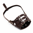 Намордник из прессованной кожи регулируемый, №3, ДН 6.8 см, ОМ 21-28 см, коричневый - Фото 4