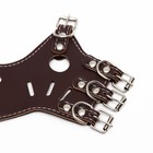 Намордник из прессованной кожи регулируемый, №3, ДН 6.8 см, ОМ 21-28 см, коричневый - Фото 10