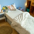 Постельное бельё "Этель" 1.5 сп Волшебный лес 143х215 см, 150х214 см, 50х70 см -1 шт,100% хлопок, бязь - фото 24719311