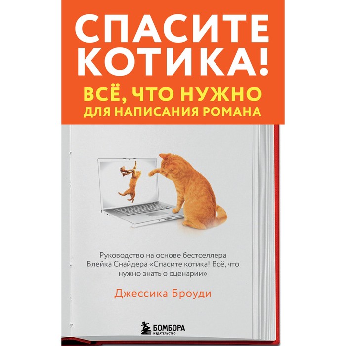 Спасите котика! Всё, что нужно для написания романа. Броуди Д.