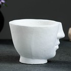 Кашпо - органайзер "Амфион" белый, 12,2х9х11см 7503603