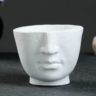 Кашпо - органайзер "Амфион" белый, 12,2х9х11см 7503603