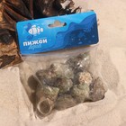 Набор ракушек, "Молюски №1", размер 2,5 - 4 см, 100 г - фото 37433849