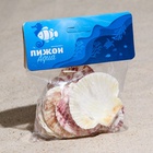 Набор ракушек «Гребешок пуксидатус», размер 4 - 6 см, 100 г - Фото 7