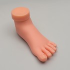Нога тренировочная для педикюра, с гнущимися пальцами, цвет бежевый - фото 7778214