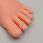 Нога тренировочная для педикюра, с гнущимися пальцами, цвет бежевый - фото 7778215