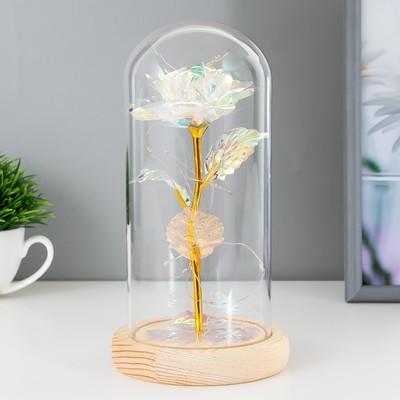 Фигурка светящаяся колба RISALUX «Яркий цветок», LED-ночник, от батареек 3×ААА, 11×11×21.5 см