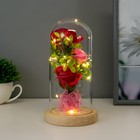 Фигурка световая колба RISALUX «Три розы», LED - ночник, от батареек, 3×ААА 11×11×21.5 см - Фото 2