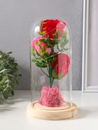 Фигурка световая колба RISALUX «Три розы», LED - ночник, от батареек, 3×ААА 11×11×21.5 см - Фото 11