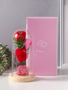 Ночник-колба "Три розы" LED от батареек 3хААА 11х11х21,5 см RISALUX - Фото 14