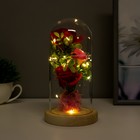 Фигурка световая колба RISALUX «Три розы», LED - ночник, от батареек, 3×ААА 11×11×21.5 см - Фото 3