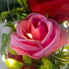 Ночник-колба "Три розы" LED от батареек 3хААА 11х11х21,5 см RISALUX - Фото 4