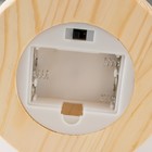 Фигурка световая колба RISALUX «Три розы», LED - ночник, от батареек, 3×ААА 11×11×21.5 см - Фото 7