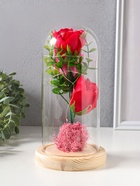 Ночник-колба "Три розы" LED от батареек 3хААА 11х11х21,5 см RISALUX - Фото 10