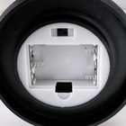 Ночник колба "Влюбленная пара" LED от батареек 3хААА 11х11х21,5 см RISALUX - фото 7614117