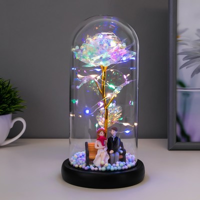 Фигурка светящаяся колба RISALUX «Счастливый день», LED-ночник, от батареек 3×ААА, 11×11×21.5 см