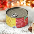 Набор для опытов «Фараоновы змеи» - фото 26668550