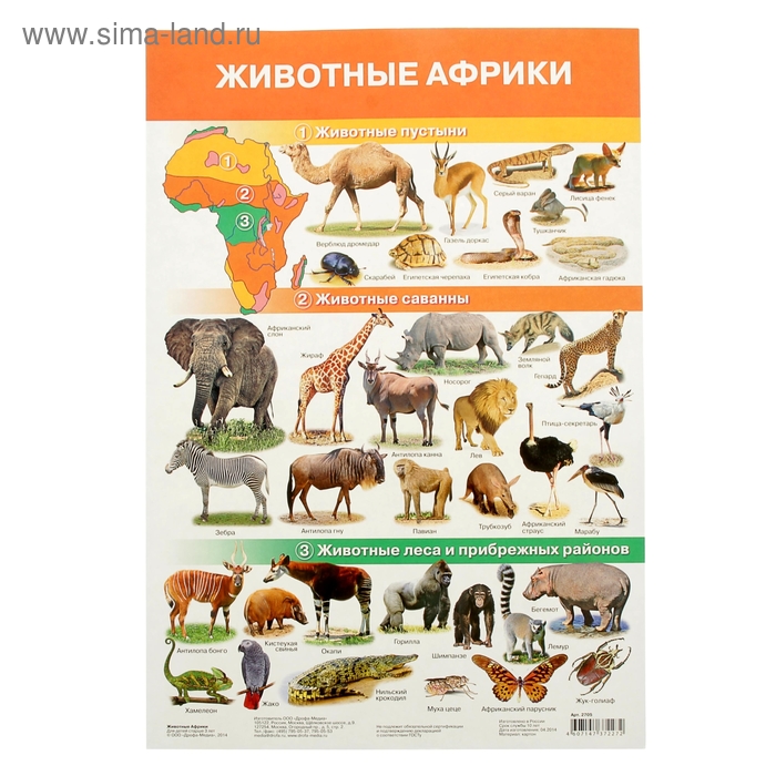плакат Животные Африки 42*29*0,1см - Фото 1