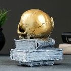 Фигура "Череп с книгой" бронза с серебром, 19см - фото 8571253