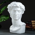 Бюст «Давид», фигурка гипс, белый, 24×45 см - Фото 5