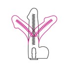 Фаллоимитатор LoveToy F-line, реалистик, с фиксацией положения, 20.5×4.5 см - фото 45924173