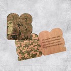 Открытка поздравительная с тиснением «С Днём защитника Отечества!», МИКС (комплект 14 шт) - фото 54726161