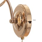 Бра 1571/1 E27 40Вт золото 25х14х18 см - фото 21452815