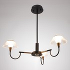 Люстра 1695/3 LED 72Вт 3000-6000К черно-золотой 65х65х26,5 см BayerLux - Фото 2