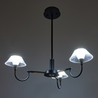 Люстра 1695/3 LED 72Вт 3000-6000К черно-золотой 65х65х26,5 см BayerLux - Фото 5