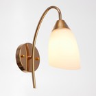 Бра 2238/1 E27 40 Вт золото - фото 5032834