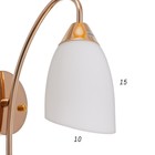 Бра 2238/1 E27 40 Вт золото - фото 5032836