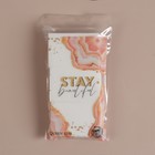 Салфетки для маникюра «Stay Beautiful», безворсовые, 100 шт, 6 × 4 см, в PVC - чехле - Фото 4