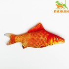 Игрушка "Рыба моей мечты!" с кошачьей мятой, красный карп, 20 см - фото 319804443