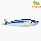 Игрушка «Рыба моей мечты!» с кошачьей мятой, сайра, 20 см - Фото 1