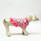 Толстовка с юбочкой "Косточки", размер XL (ДС 40, ОШ 40, ОГ 50 см), розовая - Фото 2