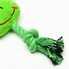 Игрушка мягкая для собак "Лягушка с канатом", с пищалкой, 18 см, зелёная - Фото 2