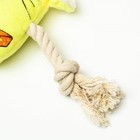 Игрушка мягкая для собак "Веселая мышка" с канатом и пищалкой, 20 х 13 см, жёлтая - фото 6522954