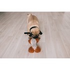 Игрушка мягкая для собак "Особая кость", двутканевая, с пищалкой, 20х12 см, бело-коричневая 708725 - Фото 3